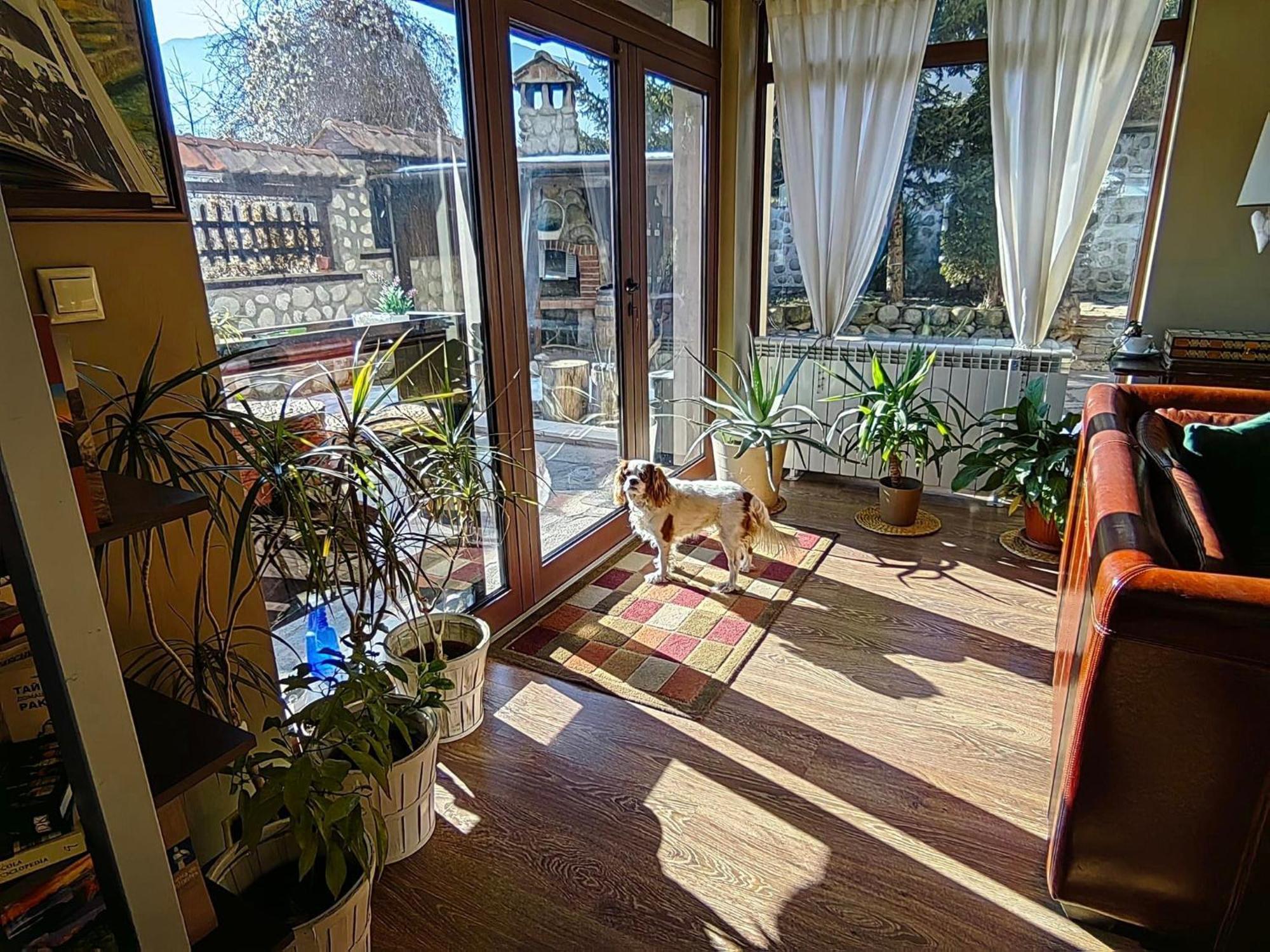 Hotel Famil - Adults Only Bansko Dış mekan fotoğraf