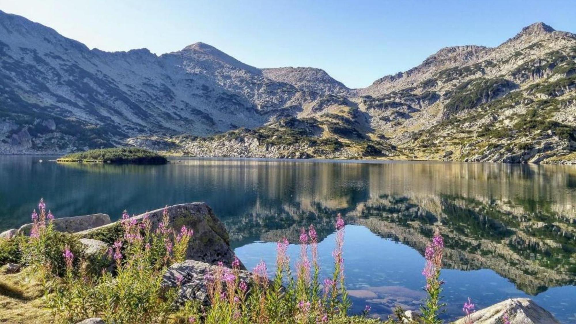 Hotel Famil - Adults Only Bansko Dış mekan fotoğraf